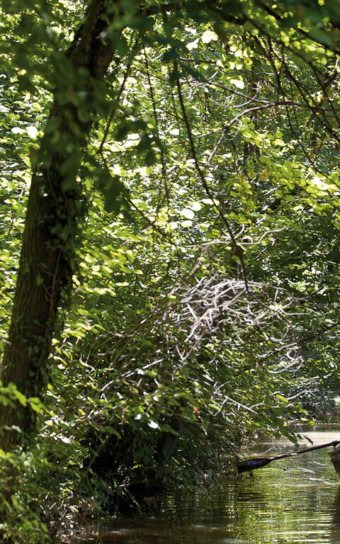 Ca' Marcello: Utendørs