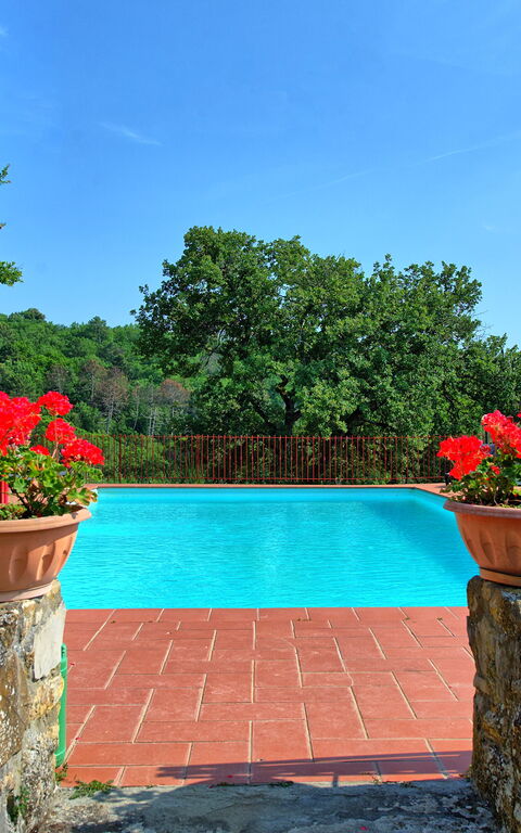 Querciolaia: basseng