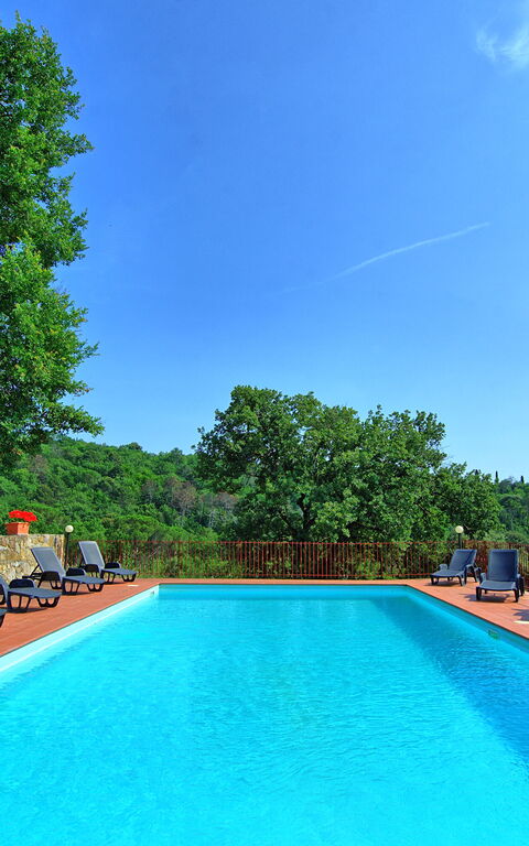 Querciolaia: basseng