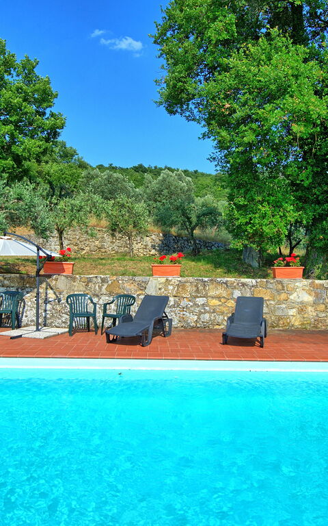 Querciolaia: basseng