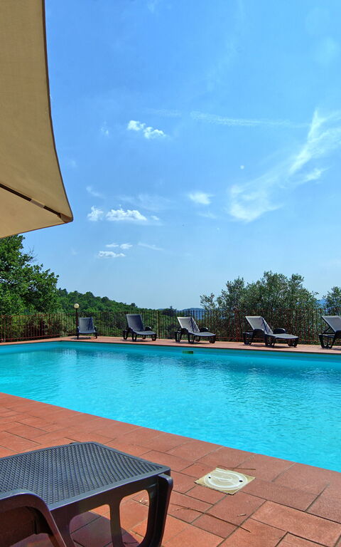 Querciolaia: basseng