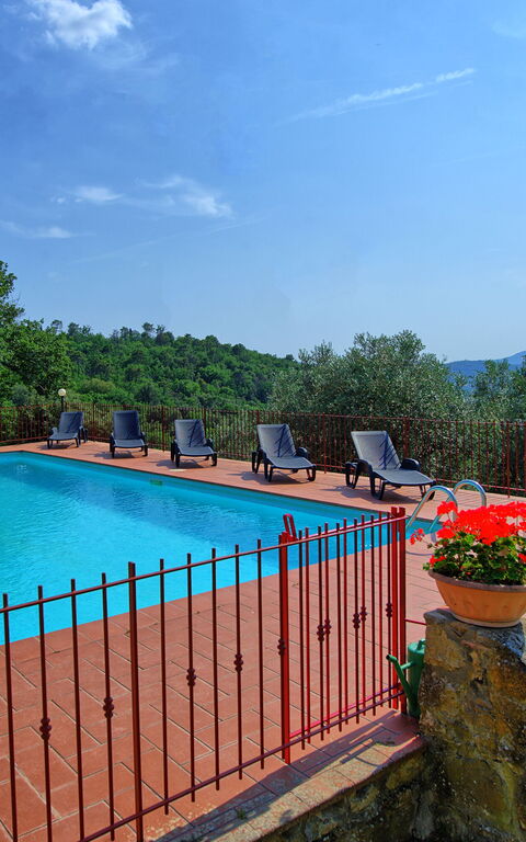 Querciolaia: basseng