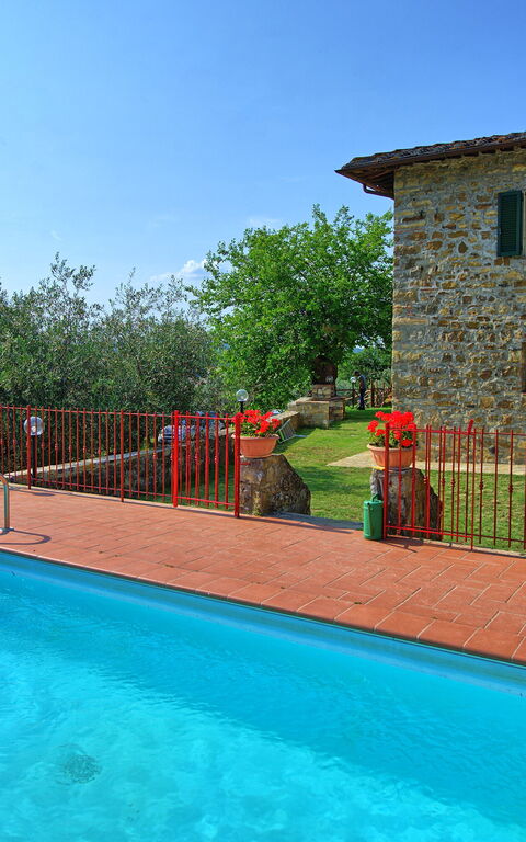 Querciolaia: basseng