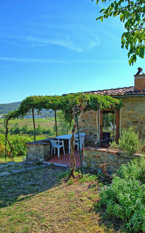 Scerfio: Eksteriør, Hage