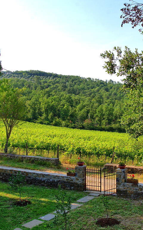 Casavecchia: Visningar