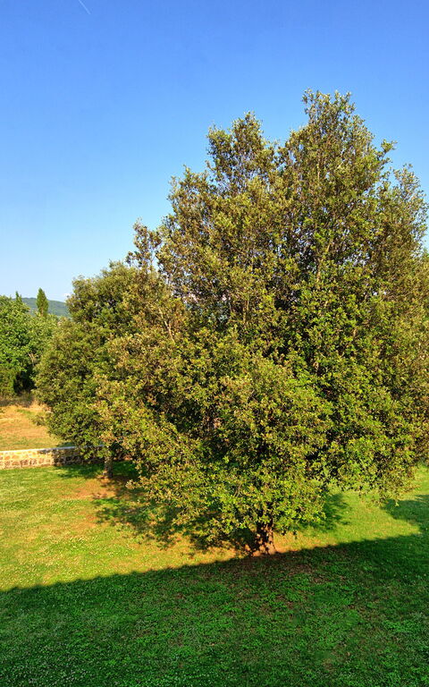 Casavecchia: Visningar