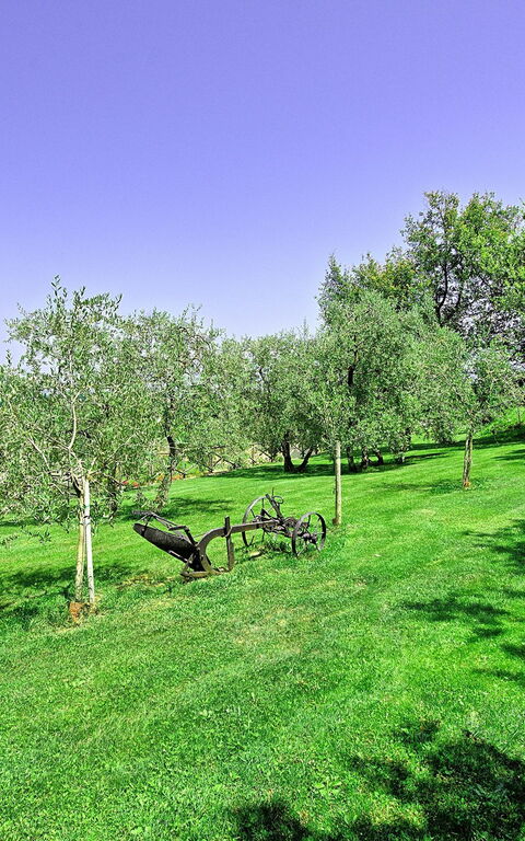 Villa Poggetta: Hage