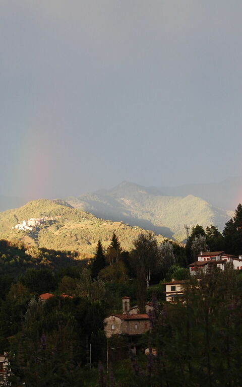 Villa Il Nido: Utendørs, Visningar