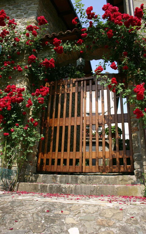 Il Palazzetto: Utendørs