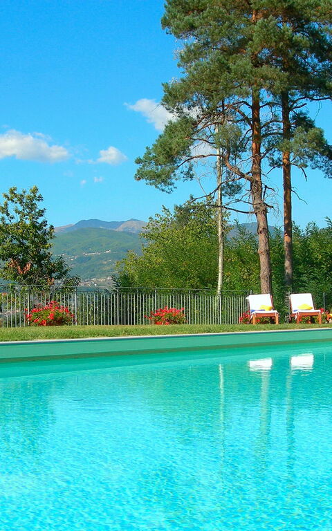 Villa Saida: basseng