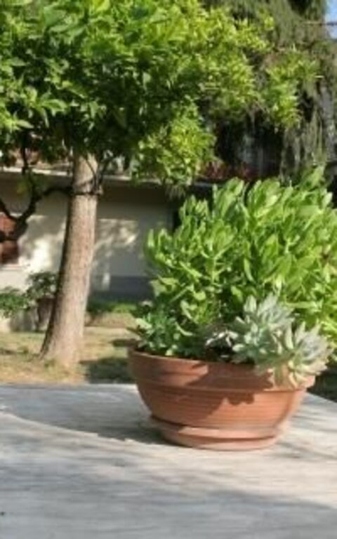 ***villa Contea: Hage, Utendørs