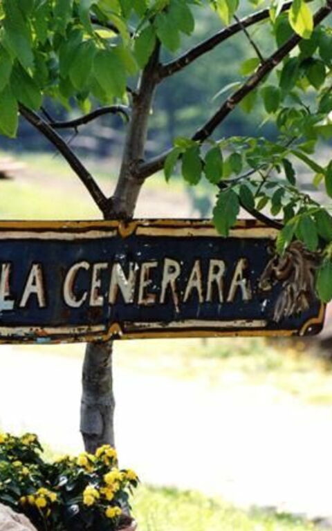 La Cenerara