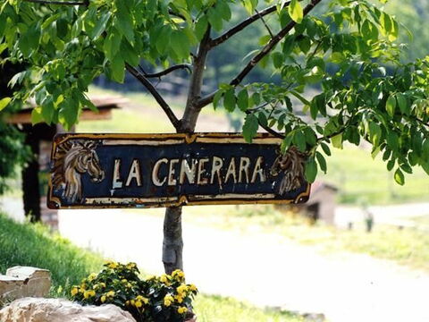 La Cenerara