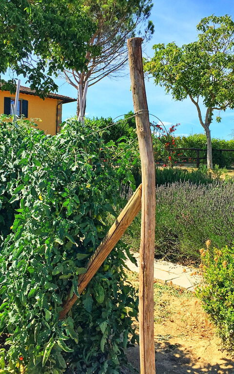 Podere Sant'angelo: Hage