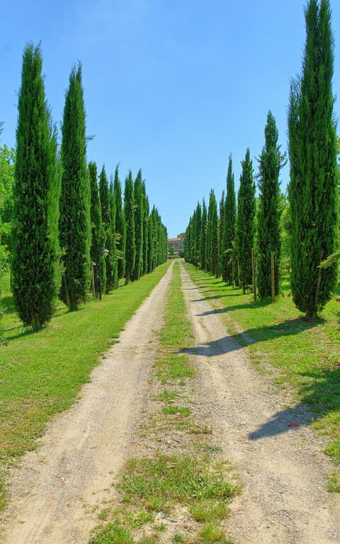 Villa Giare: Visningar