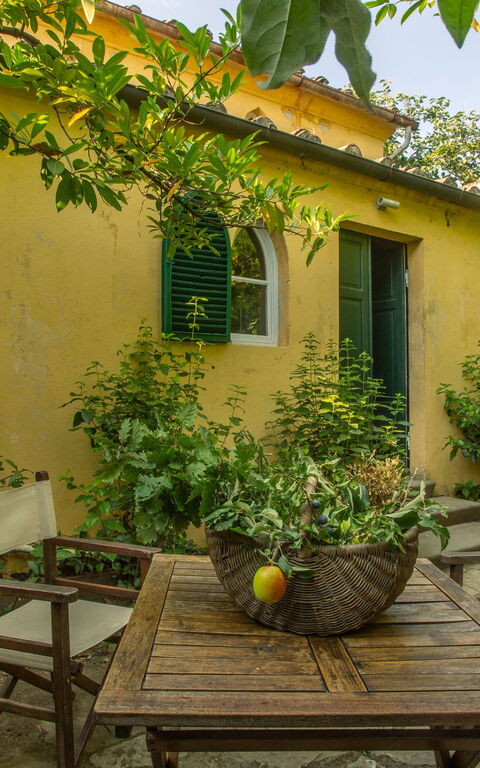 Villa Pedone: Hage, Utendørs