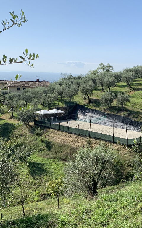 Villa Le Ferrette: Utendørs