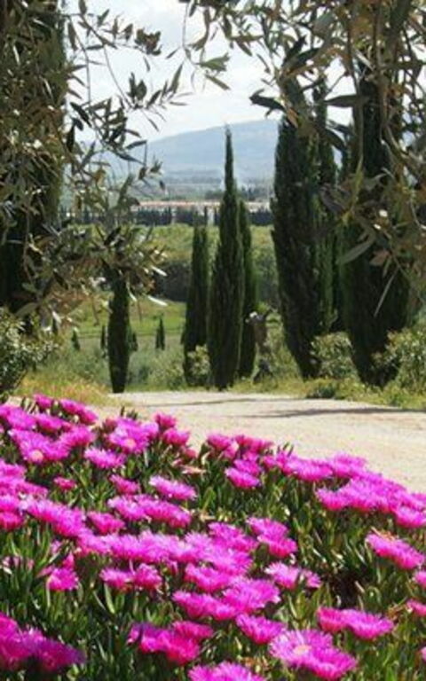 Villa Giulia Follonica