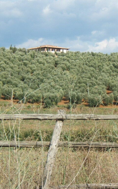 Villa Giulia Follonica