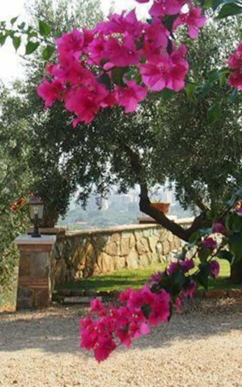 Villa Giulia Follonica