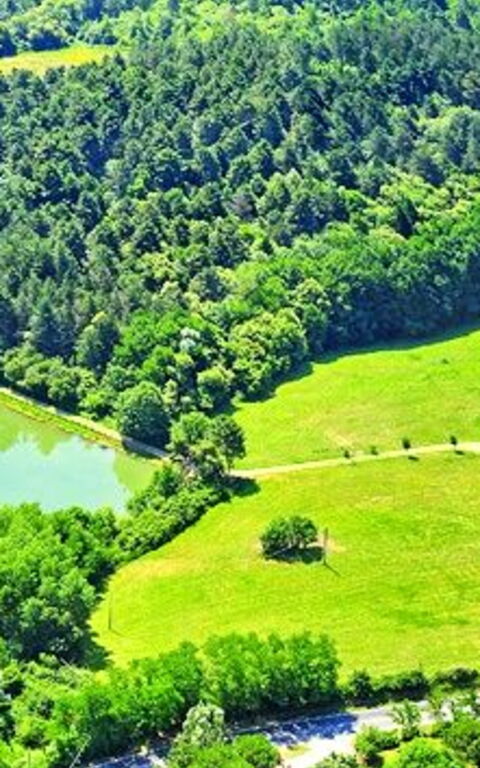 Villa Sant' Angelo: Hage, Visningar