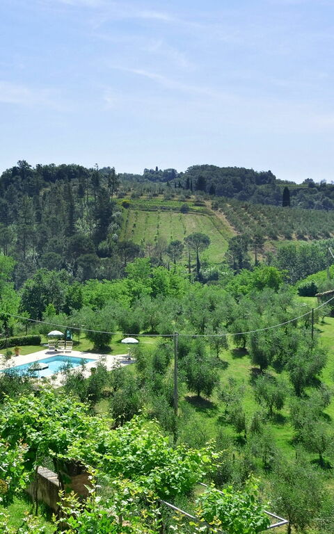 Villa Buonaparte: Hage