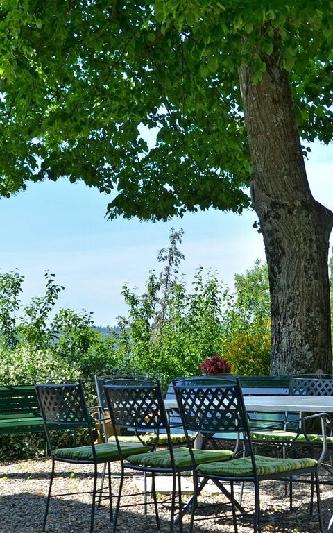 Villa Buonaparte: Hage