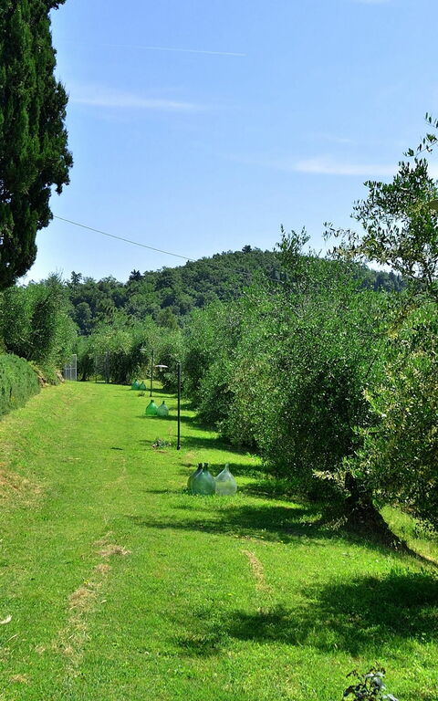 Villa Buonaparte: Hage