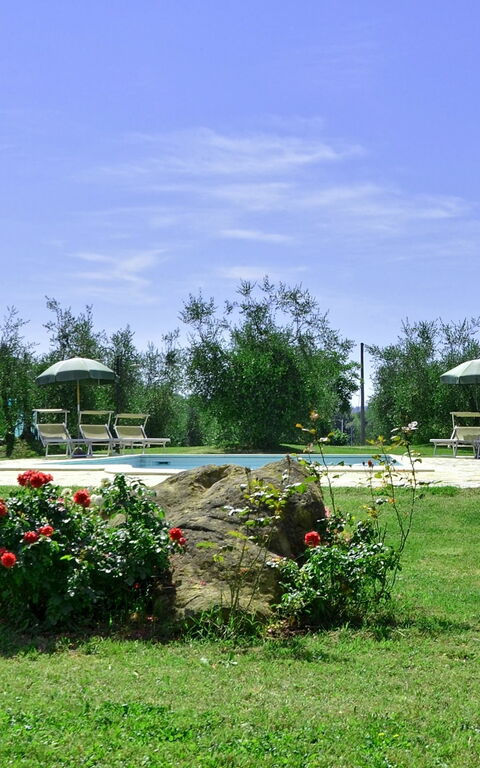 Villa Buonaparte: Hage