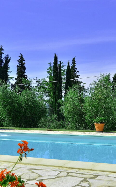 Villa Buonaparte: basseng, Hage