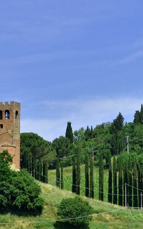 Villa Buonaparte: Hage