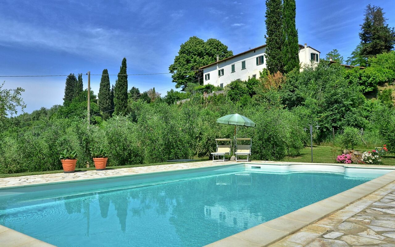 Villa Buonaparte: basseng, Hage