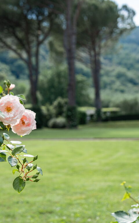 Villa De Ranieri: Hage, Utendørs