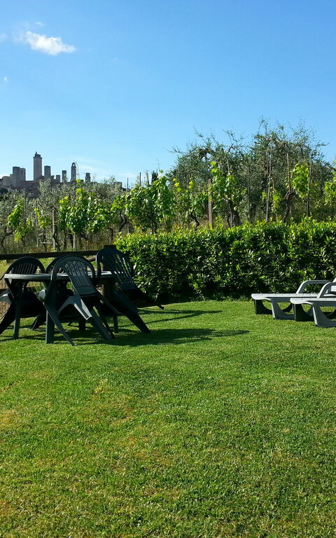 Podere Degli Olivi: Hage, Utendørs