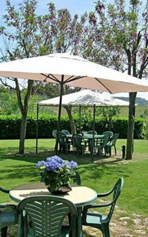 Podere Degli Olivi: Hage