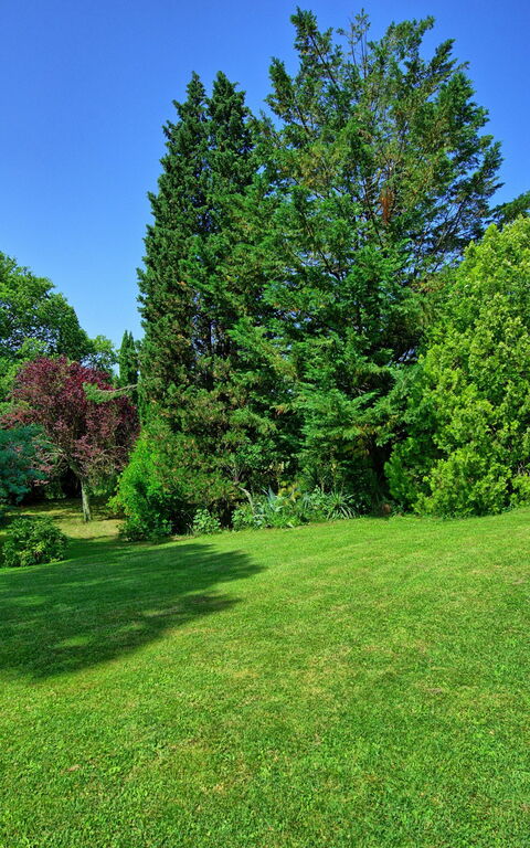 Villa Campogialli: Hage