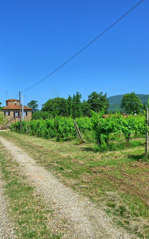 Villa Campogialli: Visningar