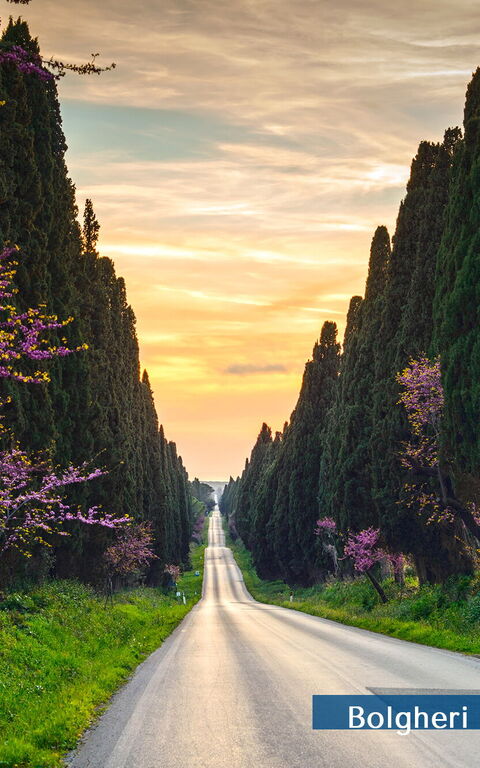 Guardistallo: Eksteriør, Visningar