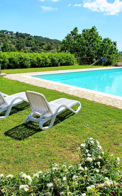 Guardistallo: basseng, Hage