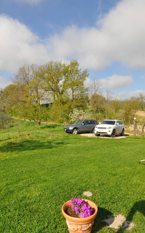 Capannino: Hage, Visningar