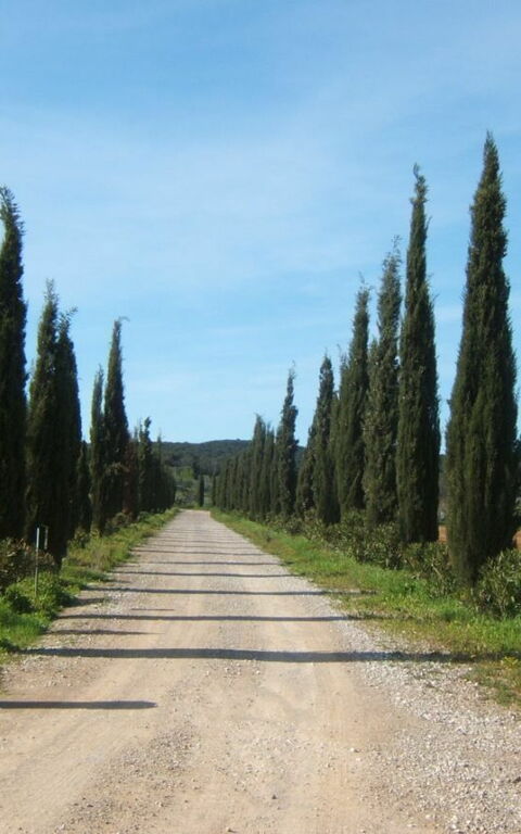 Villa Dei Cipressi: Eksteriør, Hovedinngang, Utendørs