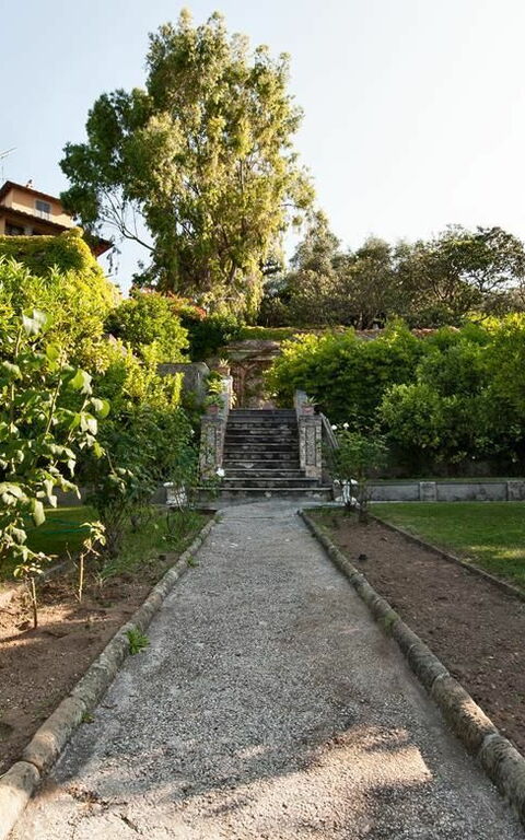 Villa Camaiore: Hage