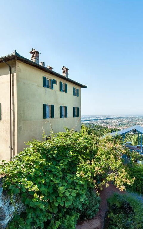 Villa Camaiore: Eksteriør, Hage