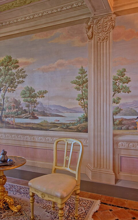 Villa Camaiore: Stue