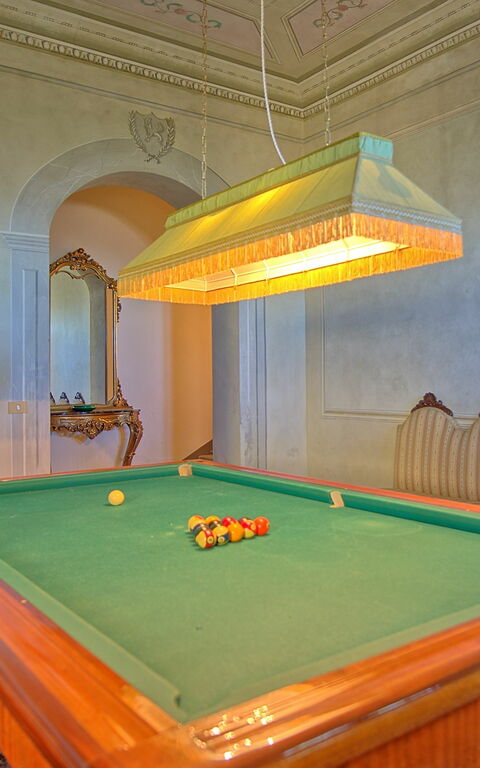 Villa Camaiore: Aktiviteter