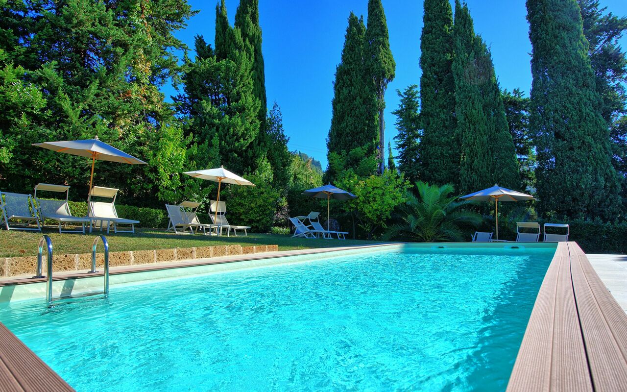 Villa Camaiore: basseng, Hage