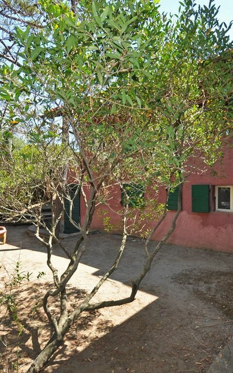 Casamare: Hage, Utendørs