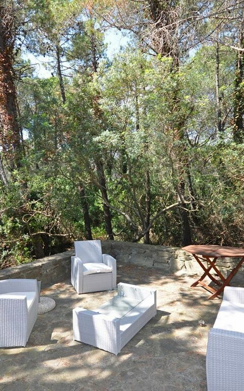 Casamare: Hage, Utendørs