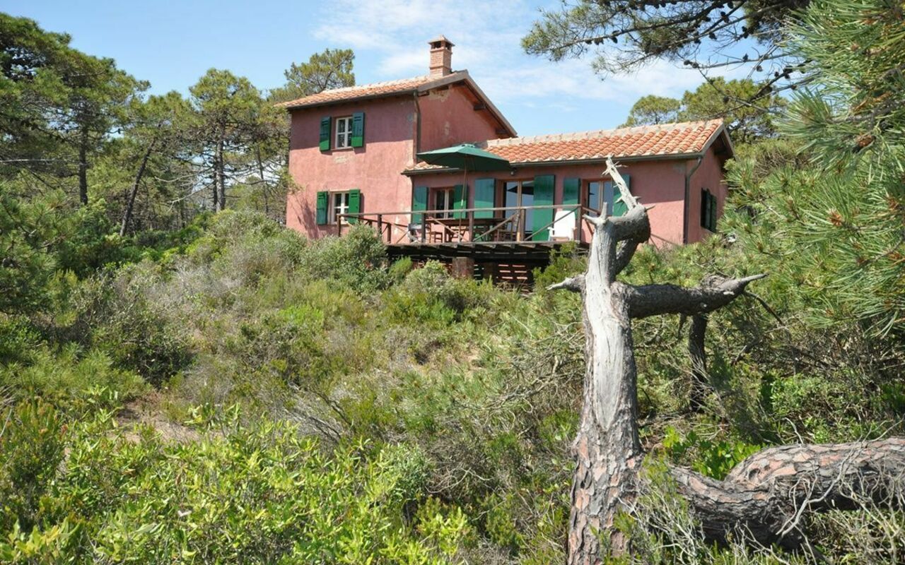 Casamare: Eksteriør