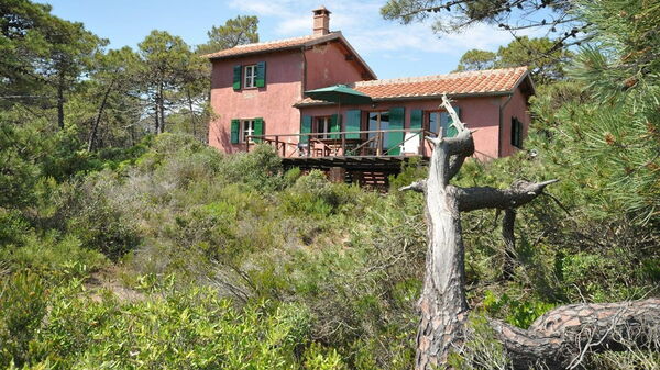 Casamare: Eksteriør